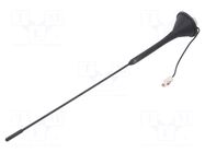 Antenna; car top,automotive; 405mm; AM,FM; universal; 180mm MTA