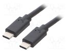 Cable; USB 3.1; USB C plug,both sides; 3m; black QOLTEC
