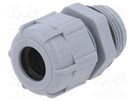 Cable gland; PG13,5; IP68; polyamide; dark grey BM GROUP