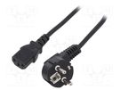 Cable; 3x1mm2; CEE 7/7 (E/F) plug angled,IEC C13 female; PVC; 3m ESPE