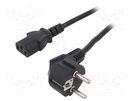 Cable; 3x1mm2; CEE 7/7 (E/F) plug angled,IEC C13 female; PVC; 5m ESPE