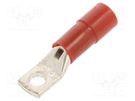 Tip: ring tube; M5; Ø: 5.2mm; 10mm2; crimped; for cable; insulated BM GROUP