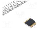 PIN photodiode; SMD; 940nm; 130°; 10nA; flat; black EVERLIGHT