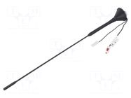 Antenna; car top,automotive; 405mm; AM,FM; universal; 180mm; 12VDC MTA