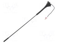 Antenna; car top,automotive; 405mm; AM,FM; universal; 180mm MTA