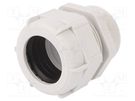 Cable gland; with long thread; M50; 1.5; IP68; polyamide; grey BM GROUP