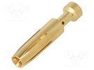 Contact; female; gold-plated; 0.5mm2; EPIC H-BE 2.5; crimped LAPP