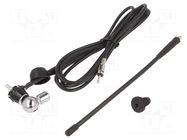 Antenna; automotive; 240mm; AM,FM; universal; rubber mast; 2.5m MTA