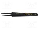 Tweezers; Blade tip shape: flat,rounded; Tweezers len: 120mm BERNSTEIN
