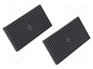 Set of protective jaws; vice BERNSTEIN