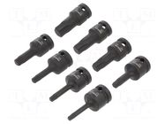 Wrench-set; Torx® socket,socket spanner,impact; 8pcs. PROLINE