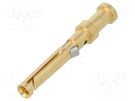 Contact; female; gold-plated; 0.14÷0.37mm2; EPIC H-D 1.6; bulk LAPP