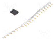 Connector: DC supply; socket; female; XT30; 15A; 500V; PIN: 4; black AMASS