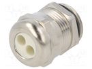 Cable gland; multi-hole; M20; 1.5; IP65; brass; Holes no: 2; 5mm HUMMEL