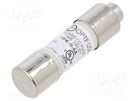 Fuse: fuse; time-lag; 6A; 600VAC; 300VDC; cylindrical,industrial OPTIFUSE