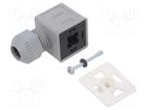 Accessories: plug for coil; IP67; cool white,grey; 250V DANFOSS