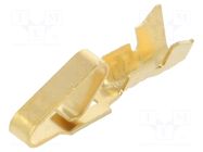 Female; 3.96mm MOLEX