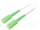 Fiber patch cord; OS2; SC/APC,both sides; 3m; LSZH; white Goobay