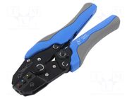 Kit: designed for terminal crimping; box; 0.25÷6mm2 BM GROUP