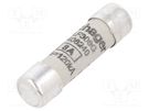 Fuse: fuse; gG,time-lag; 8A; 500VAC; cylindrical,industrial HAGER