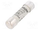 Fuse: fuse; gG,time-lag; 12A; 500VAC; cylindrical,industrial HAGER