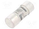 Fuse: fuse; gG; 32A; 690VAC; cylindrical,industrial; 22x58mm HAGER