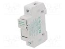 Fuse holder; cylindrical fuses; 10.3x38mm; 30A; 600V; Poles: 1 LITTELFUSE