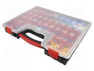 Kit: designed for terminal crimping; box; 0.25÷6mm2 BM GROUP