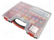 Kit: designed for terminal crimping; box; 0.75÷16mm2 BM GROUP