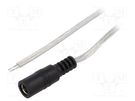 Cable; 2x0.5mm2; wires,DC 5,5/2,1 socket; straight; transparent BQ CABLE