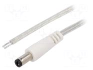Cable; 2x0.5mm2; wires,DC 5,5/2,1 plug; straight; transparent BQ CABLE