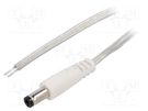 Cable; 2x0.5mm2; wires,DC 5,5/2,5 plug; straight; transparent; 2m BQ CABLE