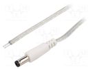 Cable; 2x0.5mm2; wires,DC 5,5/2,5 plug; straight; transparent; 3m BQ CABLE