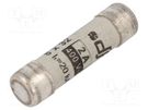 Fuse: fuse; gG; 2A; 400VAC; ceramic,cylindrical,industrial; 8x31mm DF ELECTRIC