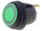 ROCKER; SPST; Pos: 2; ON-OFF; 10A/28VDC; green; IP65; LED; 50mΩ; round SCI