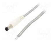 Cable; 2x0.5mm2; wires,DC 5,5/2,1 plug; straight; transparent BQ CABLE