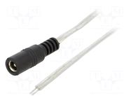 Cable; 2x0.5mm2; wires,DC 5,5/2,5 socket; straight; transparent BQ CABLE