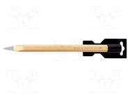 Pointed chisel; L: 250mm; Size: 16mm RENNSTEIG