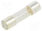 Fuse: fuse; quick blow; 300mA; 250VAC; cylindrical,glass; 5x20mm EATON/BUSSMANN