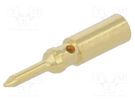 Contact; male; gold-plated; Gecko; crimped; for cable; 2A; 1.25mm HARWIN