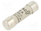 Fuse: fuse; gG; 8A; 500VAC; 250VDC; ceramic,cylindrical,industrial DF ELECTRIC
