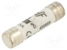 Fuse: fuse; gG; 8A; 400VAC; ceramic,cylindrical,industrial; 8x31mm DF ELECTRIC
