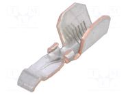 Contact; hermaphrodite; Powerpole® PP15/45; tinned; 2.1÷6mm2 ANDERSON POWER PRODUCTS