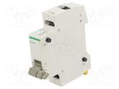 Auxiliary contacts; side,for DIN rail mounting; Acti 9 SCHNEIDER ELECTRIC