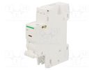 Shunt release; for DIN rail mounting; 48VAC; 48VDC SCHNEIDER ELECTRIC