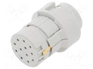 Connector: M23; contact insert; PIN: 12; female; crimped; for cable HARTING