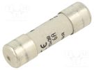 Fuse: fuse; gG,time-lag; 6A; 690VAC; 10x38mm MERSEN
