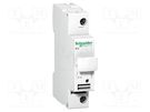 Poles: 1; 500VAC; for DIN rail mounting; 10x38mm SCHNEIDER ELECTRIC