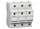Fuse disconnector; D02; for DIN rail mounting; Poles: 3 SCHNEIDER ELECTRIC