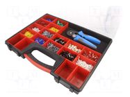 Kit: designed for terminal crimping; box; 0.75÷16mm2 BM GROUP